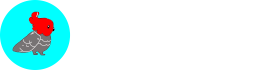 Voices for Canberra